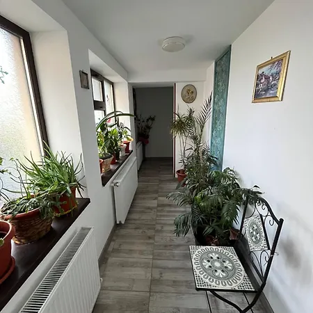 Solaria Budget Studio Galati  Exterior photo